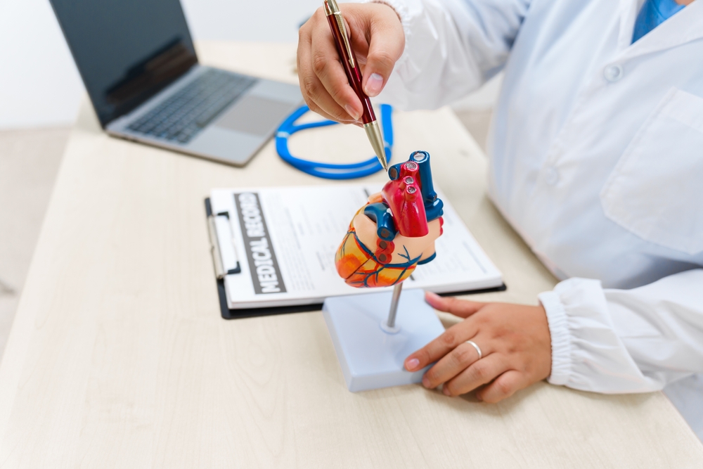 Cardiologist showing heart model