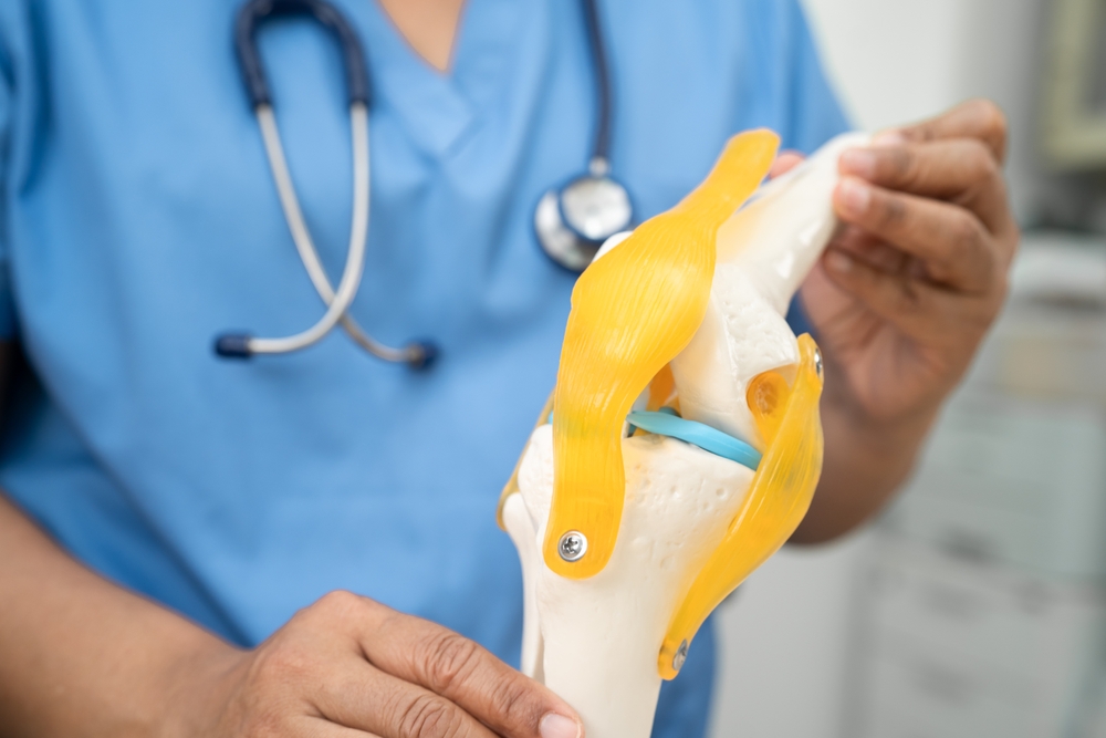 Doctor showing knee anatomical model
