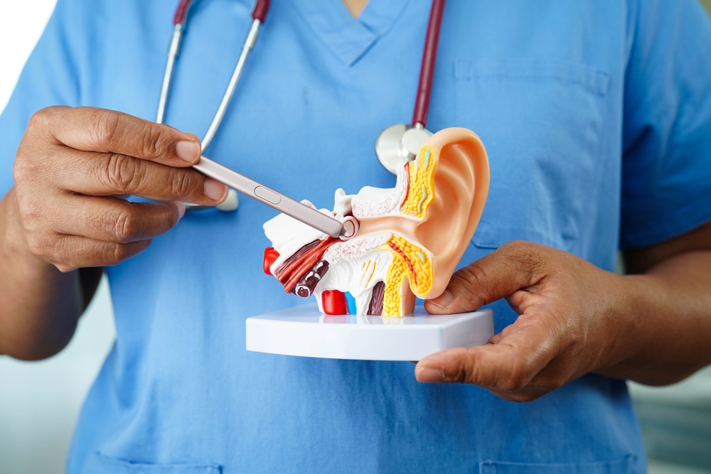 female doctor consulting cardiology chart of patient with nurse