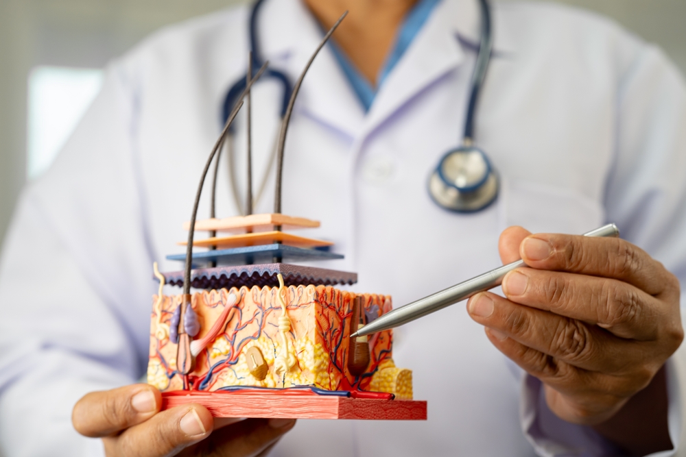female doctor consulting cardiology chart of patient with nurse