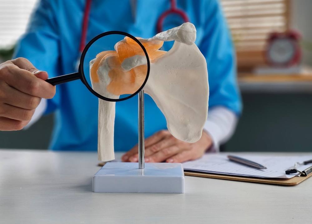 doctor showing shoulder model