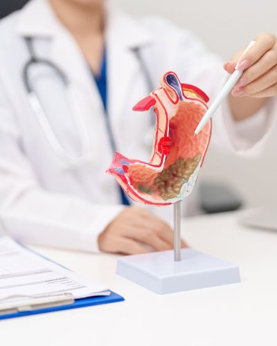 Female Doctor Showing Gastric System Model
